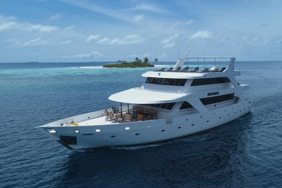 Click to enlarge image