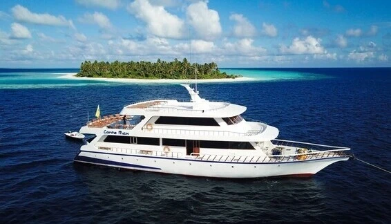 Click to enlarge image