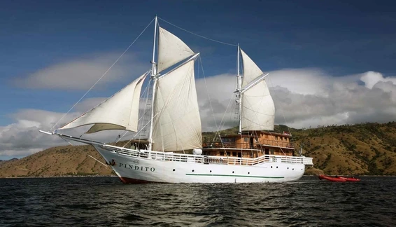 Click to enlarge image