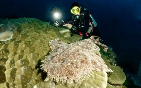 PADI Underwater Photography - Photo: Agusta