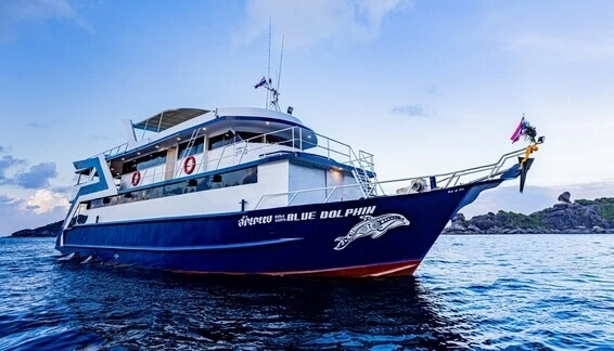 Click to enlarge image