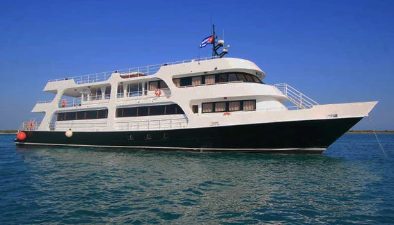 Click to enlarge image