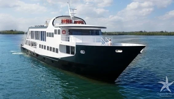 Click to enlarge image