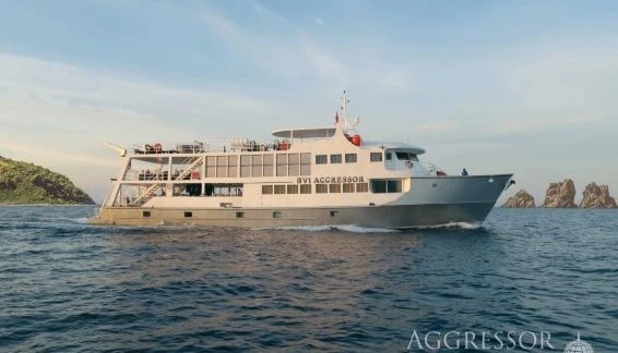 Click to enlarge image