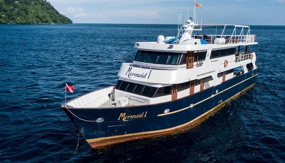 Click to enlarge image