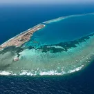 Click to enlarge image