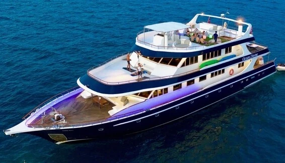 Click to enlarge image