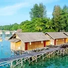 Click to enlarge image