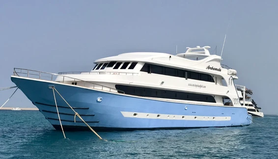 Click to enlarge image