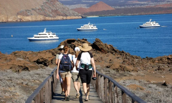 Click to enlarge image