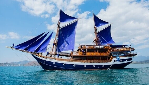 Click to enlarge image