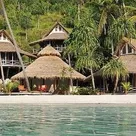 Click to enlarge image