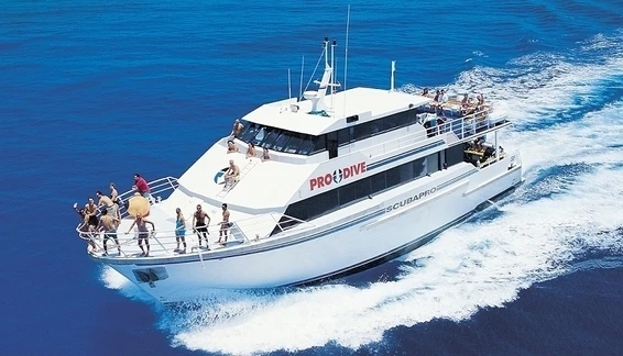 Click to enlarge image