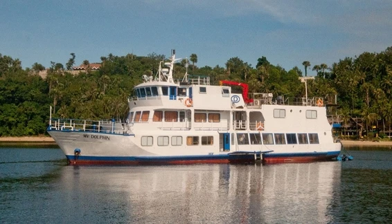 Click to enlarge image