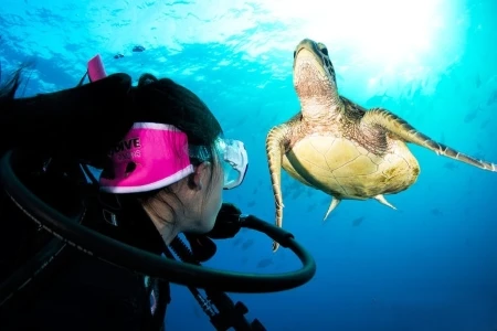 Learn to dive in Australia. Photo courtesy of Pro Dive Cairns